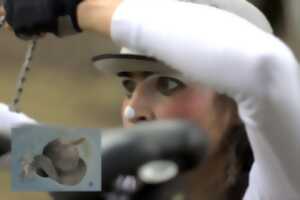 photo SPECTACLE MARIONNETTE 