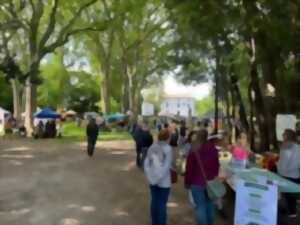 photo FÊTE DE L'ENVIRONNEMENT