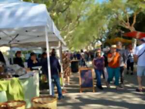 photo FOIRE DE PRINTEMPS 2026