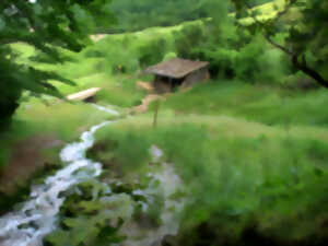 photo 21ÈME MARCHE DU SEL