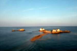 photo La Neire Mâove : Excursion vers les Ecréhou