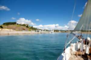 photo La Neire Mâove : Balade côtière au large de la Côte des Isles