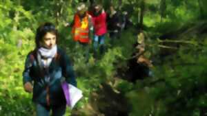 photo Balade guidée : la vie paysanne dans le bocage