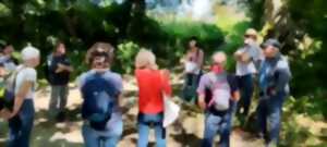 photo Balade en baskets : visite sportive du bocage