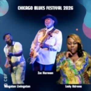 photo Chicago Blues Festival