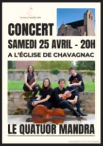 photo Concert Le Quatuor Mandra