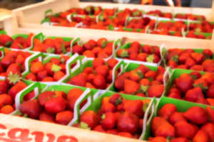 photo Marché de Quintaou