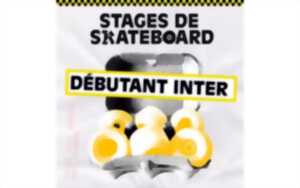 photo SKAB school - Stage skateboard débutant-intermédiaire