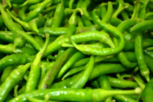 photo Marché de Quintaou