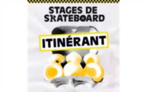 photo SKAB school - Stage skateboard itinérant