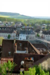 photo Visites guidées Joigny mai  2026