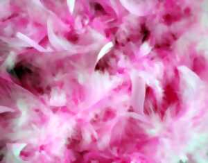 photo Soirée Cabaret