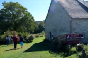photo A la rencontre des plantes des sorcières