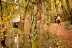 photo Randonnée semi-nocturne 