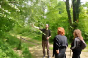 photo Journée champêtre en forêt d'Halatte