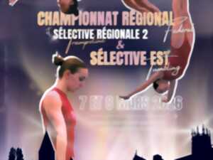 photo Metz Gym - Sélective de Trampoline & Tumbling