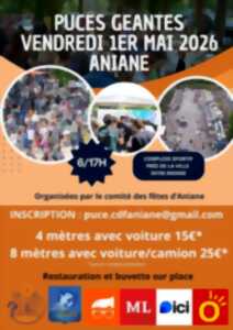 photo LES PUCES GÉANTES D’ANIANE