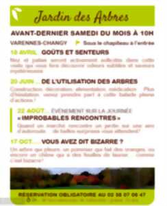 photo De l'utilisation des arbres