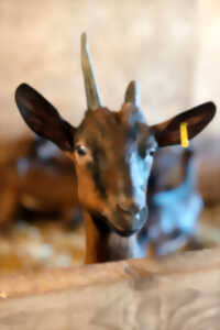 photo Pâques en famille à La Ferme de Clossy