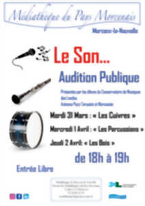 photo Le Son - Audition Publique - Les Bois