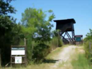 photo La Réserve de Chasse et de Faune Sauvage de Lesgau
