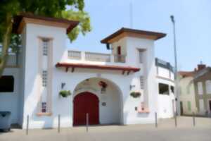 photo Soirée carcasses