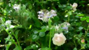 photo La Petite Fête de la Rose