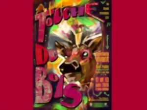 photo Festival Touche du Bois