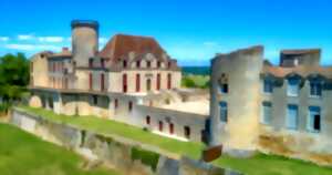 photo Animations au château de Duras