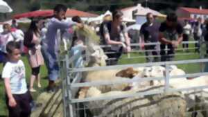 photo FOIRE AUX CHEVREAUX