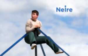 photo Journées européennes du patrimoine: spectacle acrobatique et animations diverses