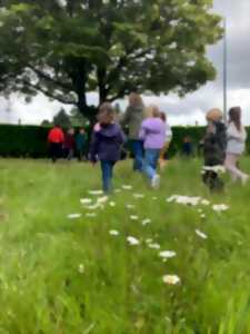 photo Venez jouer avec les pollinisateurs !
