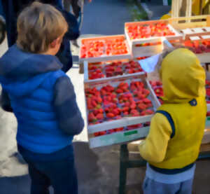 photo Marché traditionnel hebdomadaire