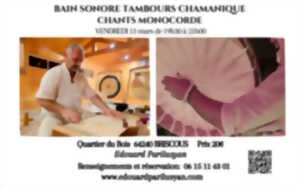 photo Bain sonore, Tambour chamanique, chants et monocorde.