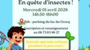 photo Sortie nature : En quête d'insectes