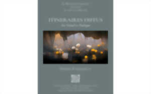 photo Itinéraires diffus : art visuel et poétique