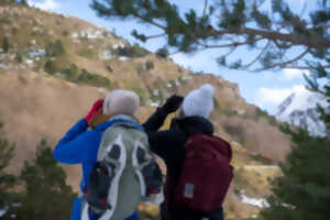 photo Randonnée sur les traces de la faune sauvage