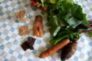 photo Atelier : cuisine de plantes sauvages