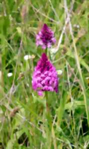 photo Balade et échanges sur 