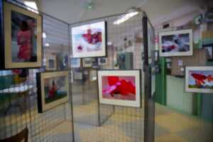 photo Exposition Photo Photofer87