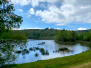 photo Marche Gourmande