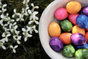 photo Grande chasse aux œufs