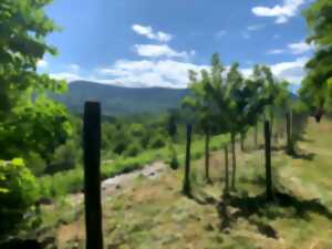 photo La fête des jardins vivants Lilaveronica