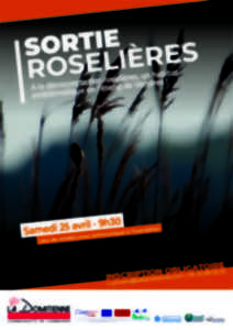 photo SORTIE ROSELIÈRES