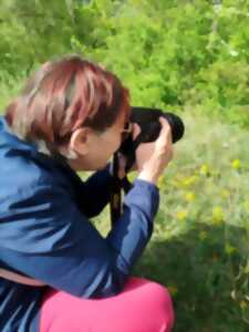 photo Photographier la nature qui nous entoure