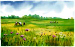 photo Flore des prairies humides