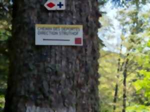 photo Sentiers Plaisir : Le chemin des déportés