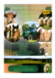 photo Foire de la Saint-Georges