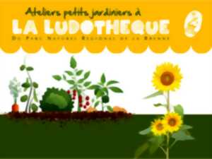 photo Atelier plantes aromatiques (1 à 3 ans)