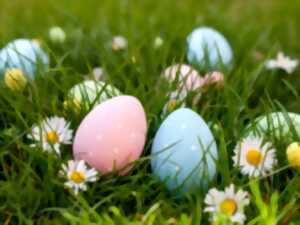 photo Chasse aux oeufs